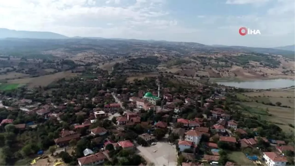 Türkiye\'nin el süpürgeleri ve tohumları Samsun\'dan