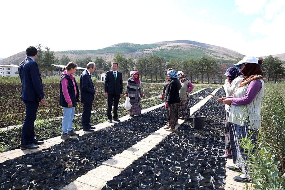 Vali Epcim, Orman Fidanlık Şefliğini ziyaret etti