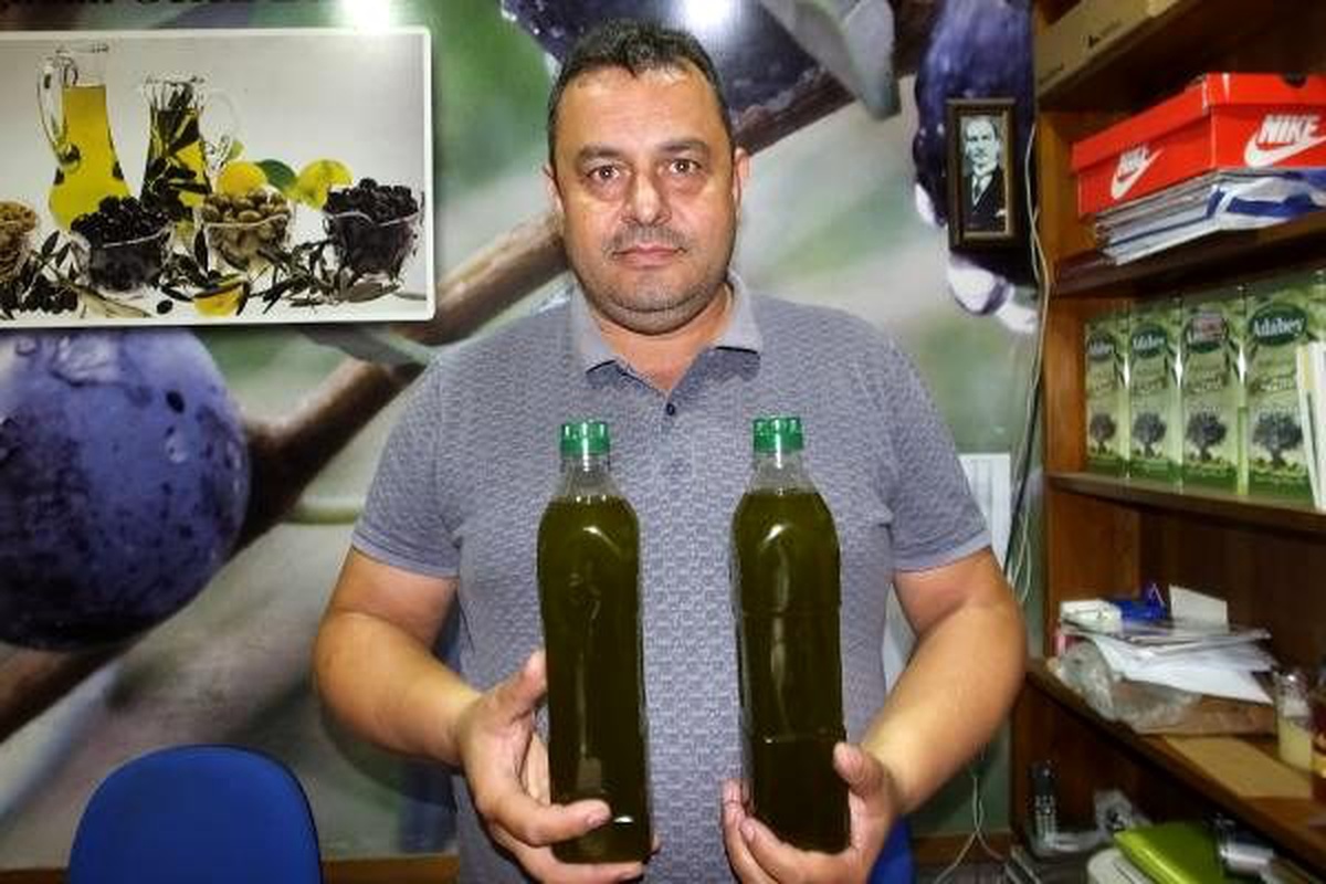 Zeytinyağındaki kalite, üreticiyi sevindirdi