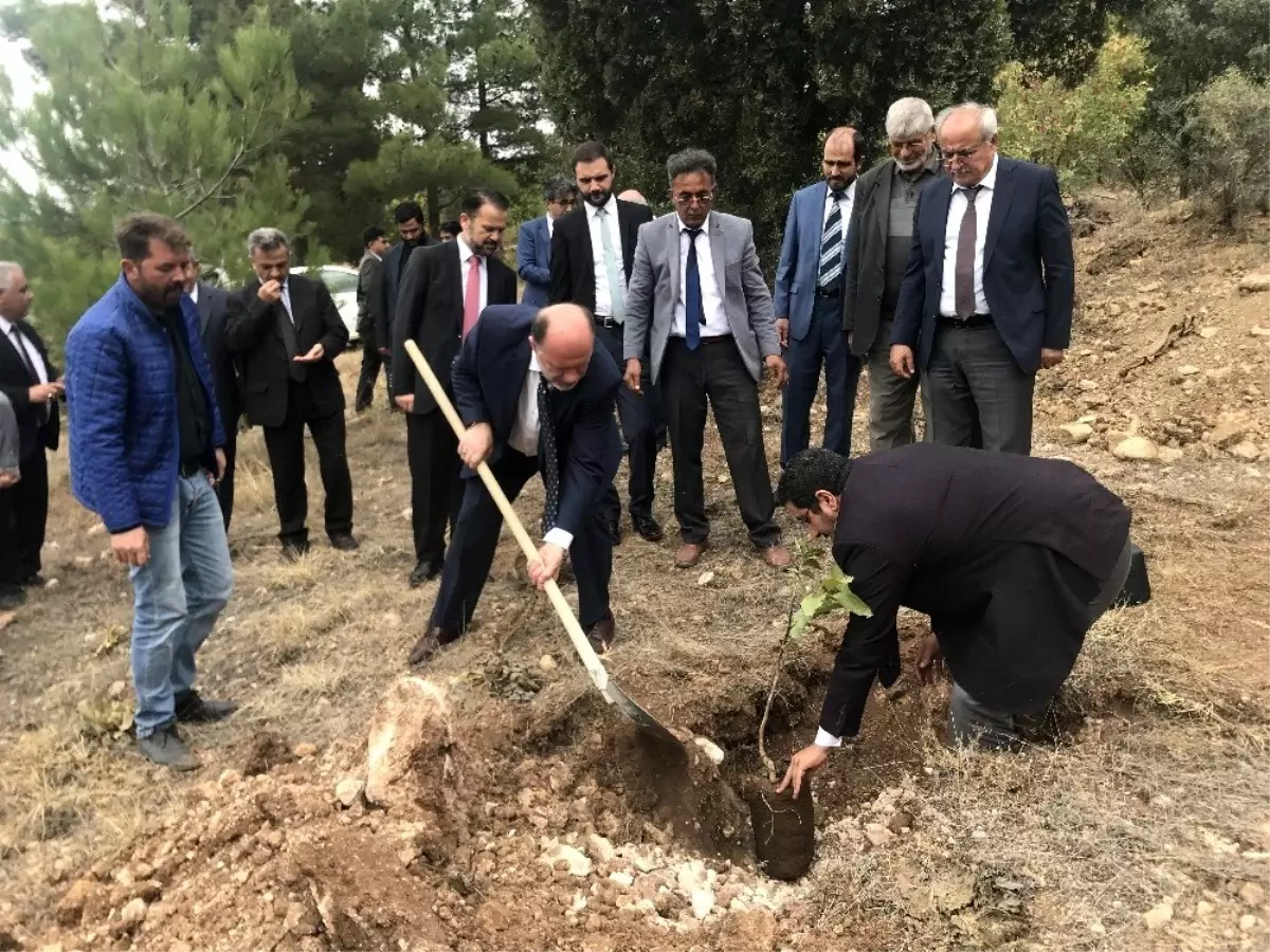 19 ilçe müftüsü yüzlerce fidanı toprakla buluşturdu