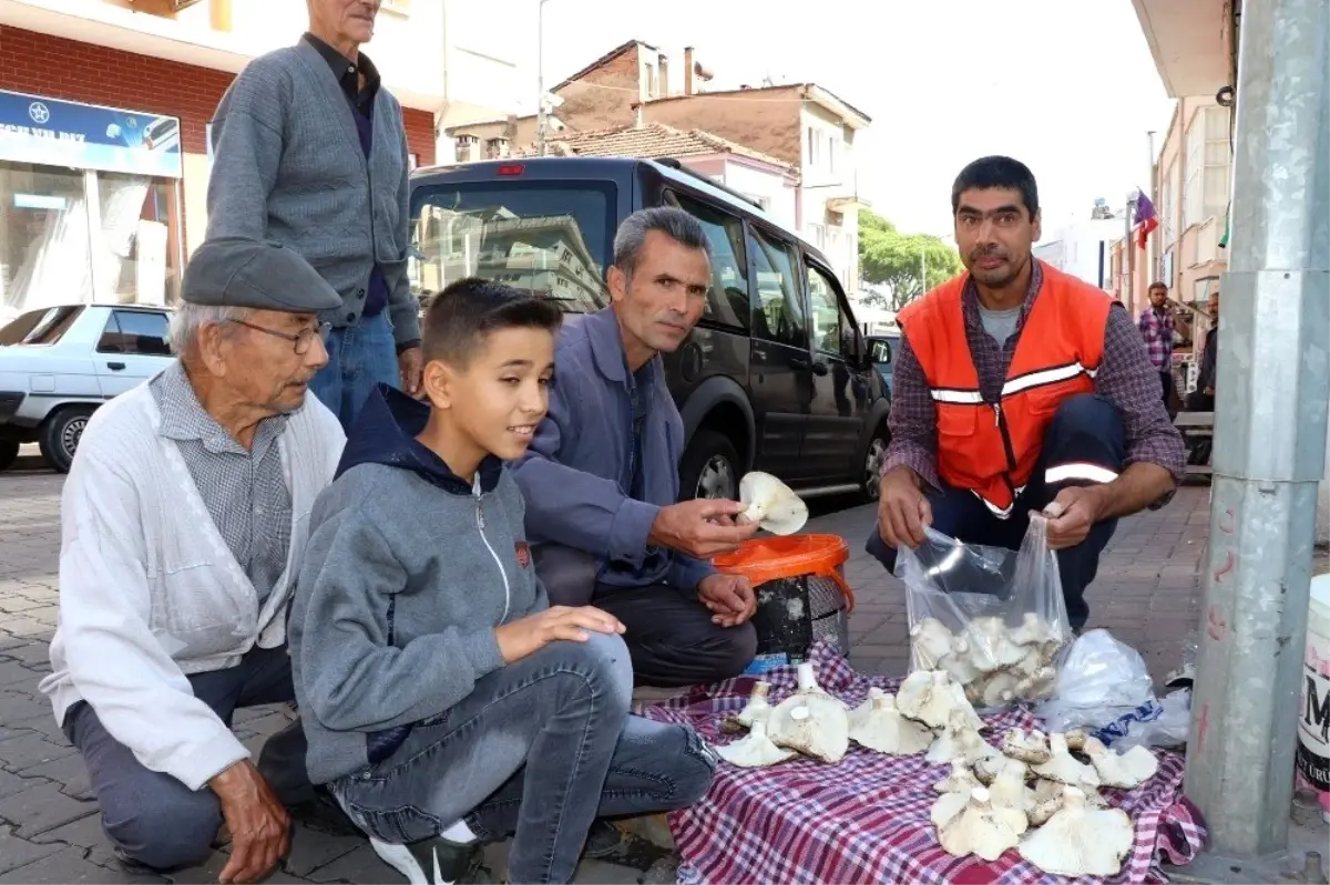 Aydın\'da doğal mantar tezgahtaki yerini aldı