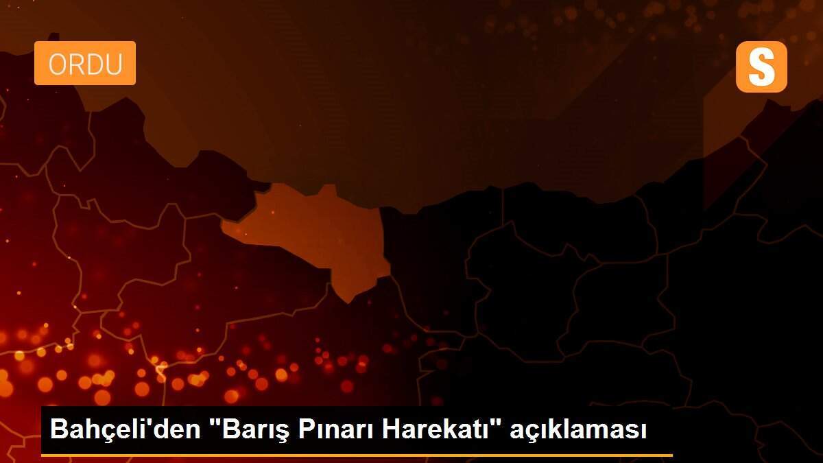 Bahçeli\'den "Barış Pınarı Harekatı" açıklaması