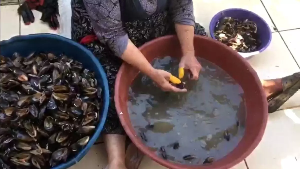 Bakteri yuvası midyeciye baskın, ekipler bile şaşırdı