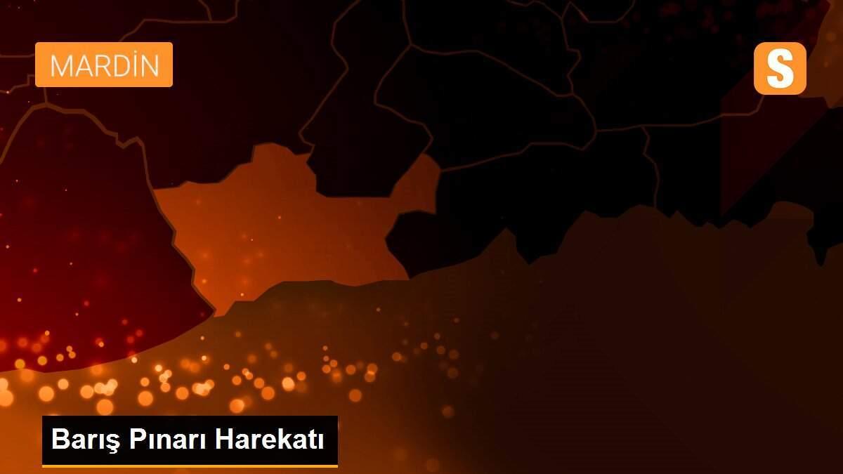 Barış Pınarı Harekatı