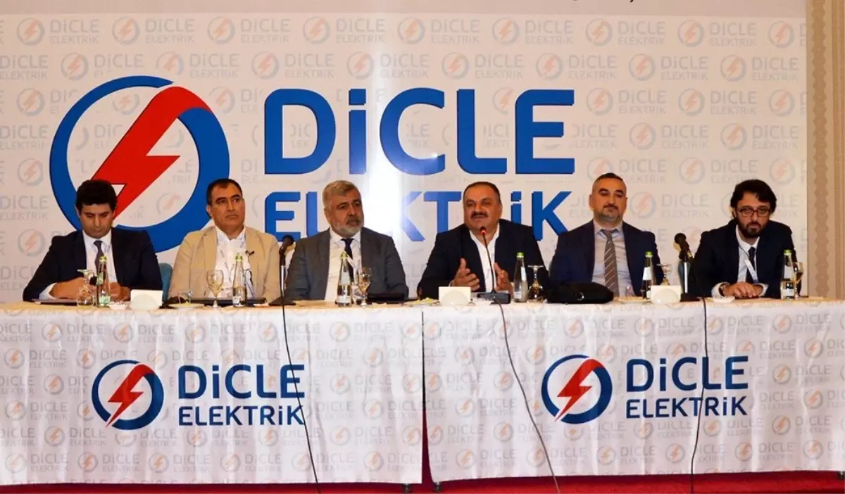 Dicle Elektrik\'ten Kırsal Alanda Kaliteli ve Kayıpsız Enerji Çalıştayı