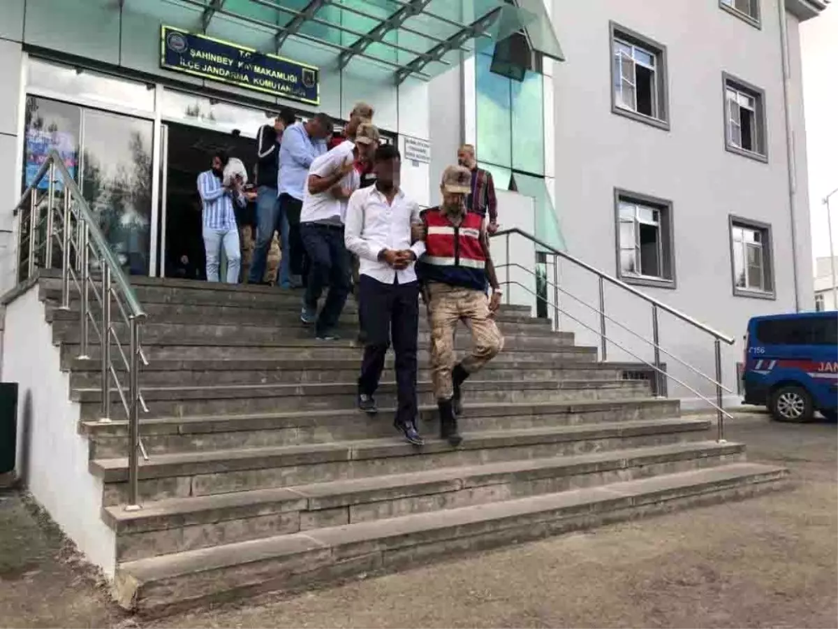 Fıstık ve hayvan hırsızlarına eş zamanlı operasyon: 11 gözaltı