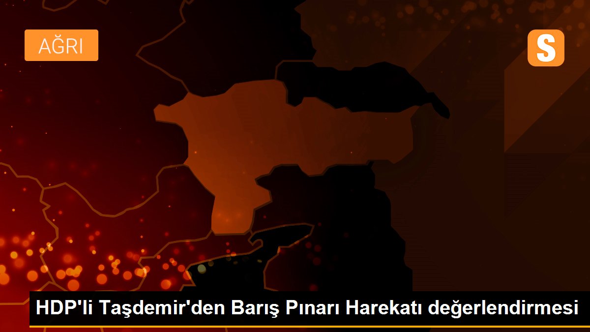 HDP\'li Taşdemir\'den Barış Pınarı Harekatı değerlendirmesi