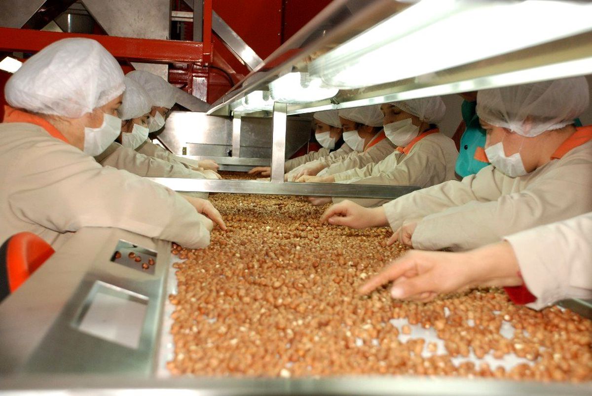 Ordu\'dan 8 ayda 150 milyon dolarlık ihracat