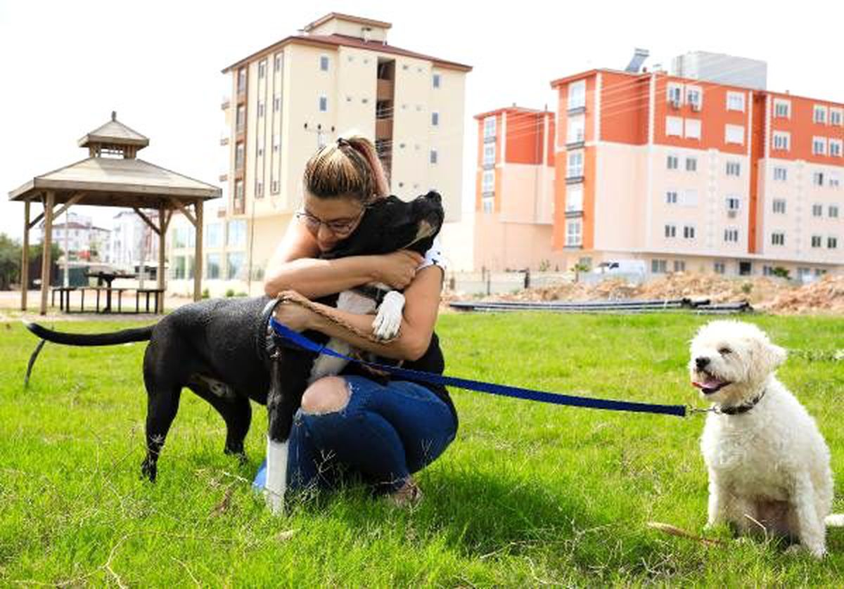 \'Ruhsatı olmayan pitbull beslemesin\'