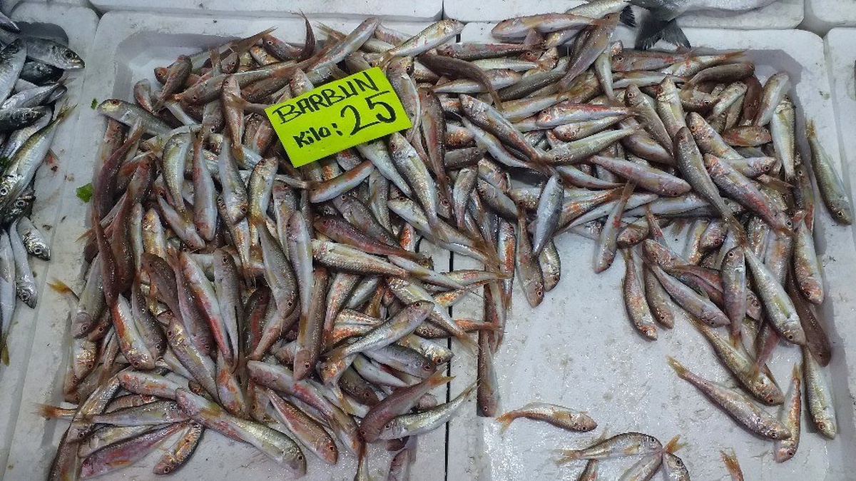 Tezgahta balık fiyatları arttı