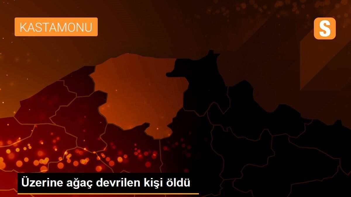 Üzerine ağaç devrilen kişi öldü