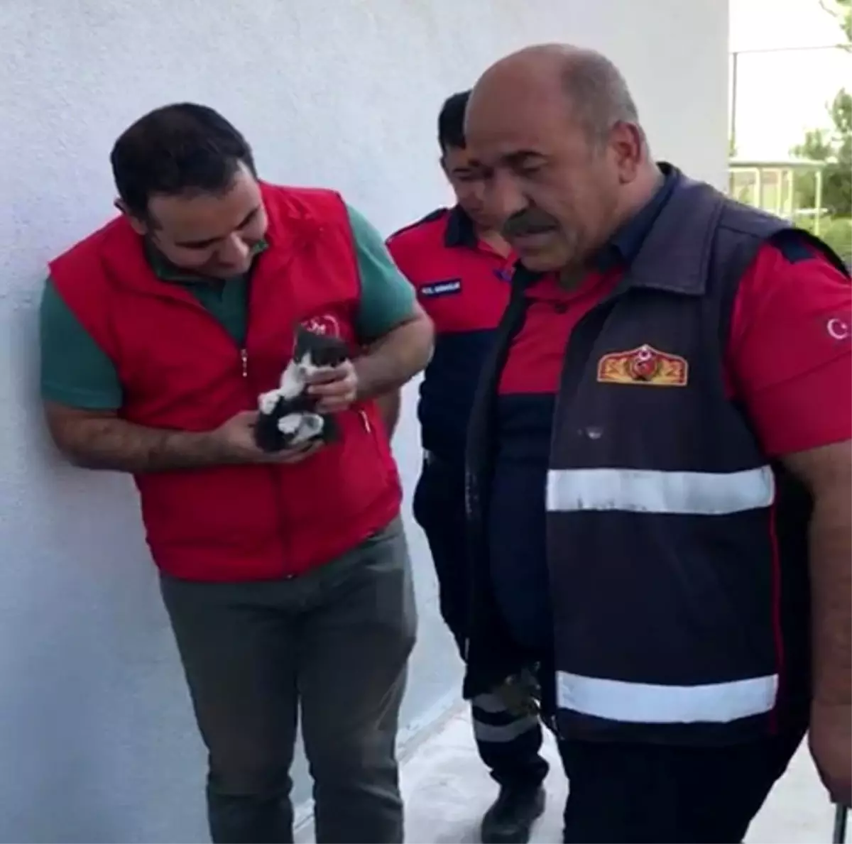 Yavru kedi sıkıştığı yerden 2 gün sonra kurtarıldı