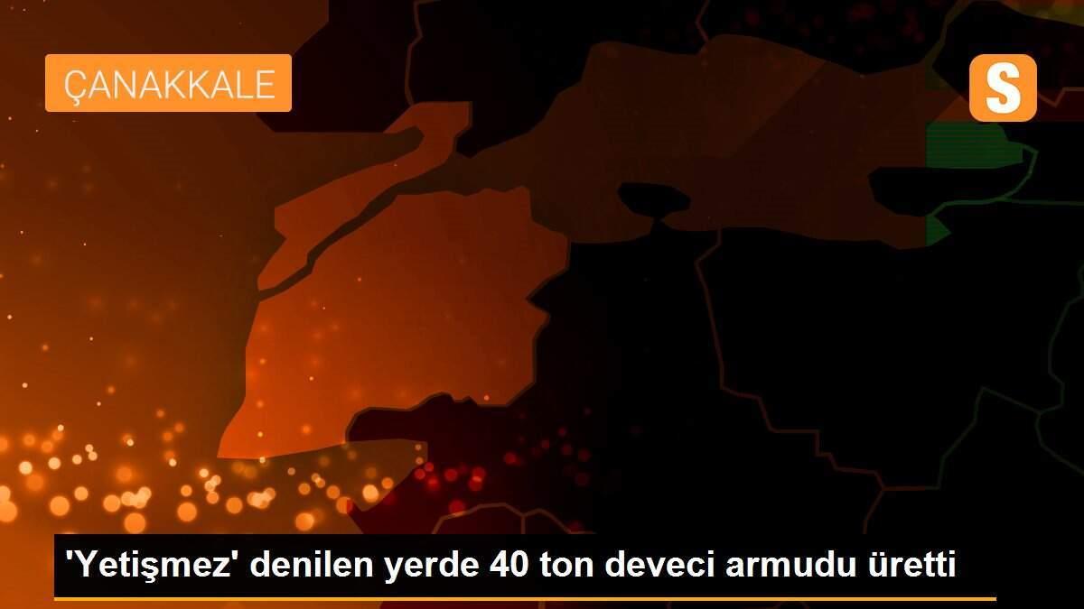 \'Yetişmez\' denilen yerde 40 ton deveci armudu üretti