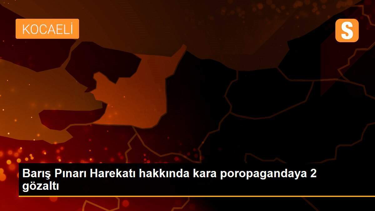Barış Pınarı Harekatı hakkında kara poropagandaya 2 gözaltı