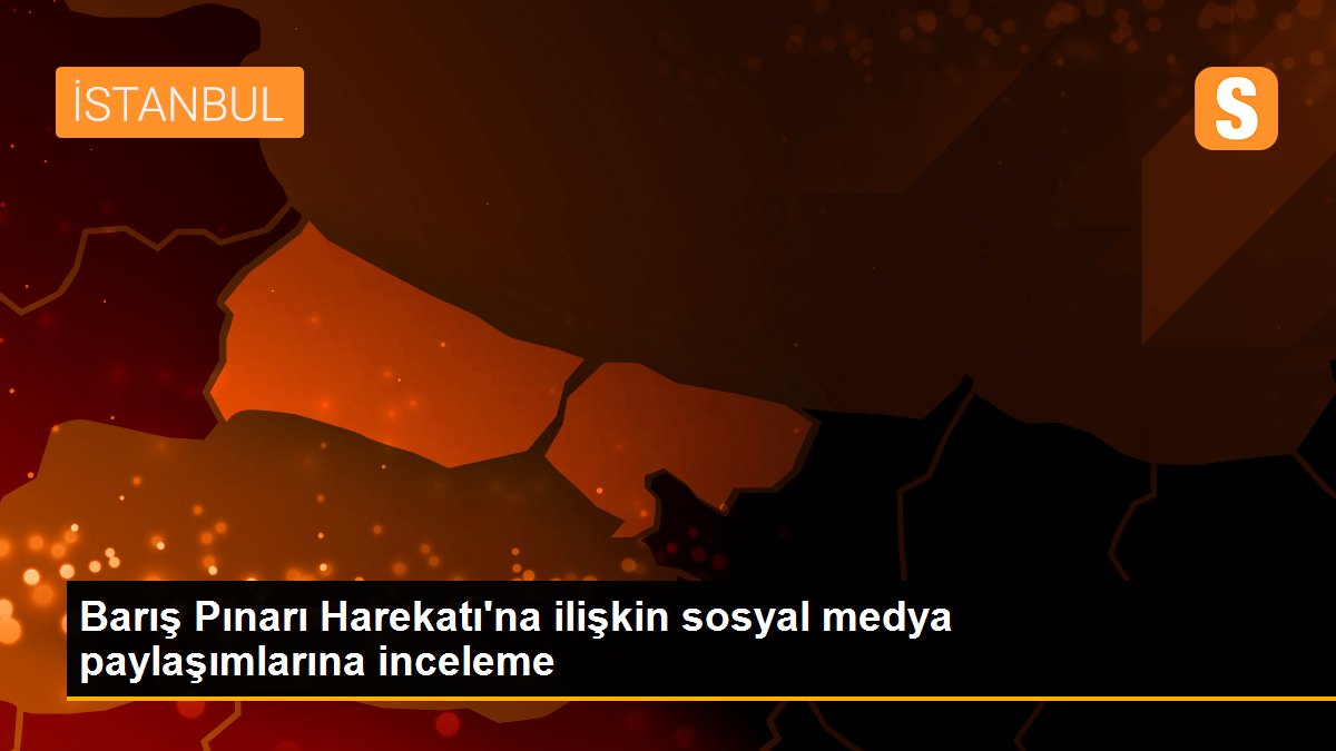 Barış Pınarı Harekatı\'na ilişkin sosyal medya paylaşımlarına inceleme