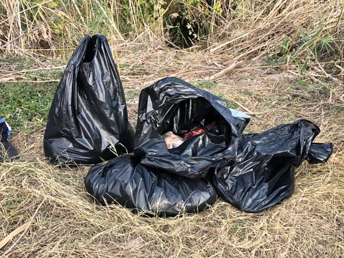 Çanakkale\'de torba torba eşek eti geçirildi