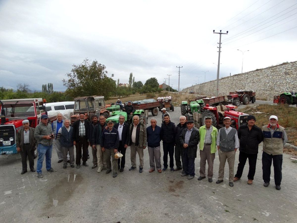 Domaniç\'te ceviz üreticisinin hasat mutluluğu