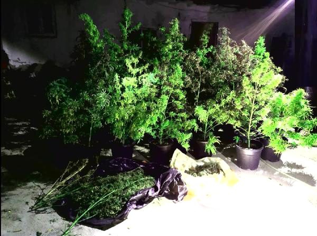 Eskişehir\'de uyuşturucu operasyonu: 3 gözaltı