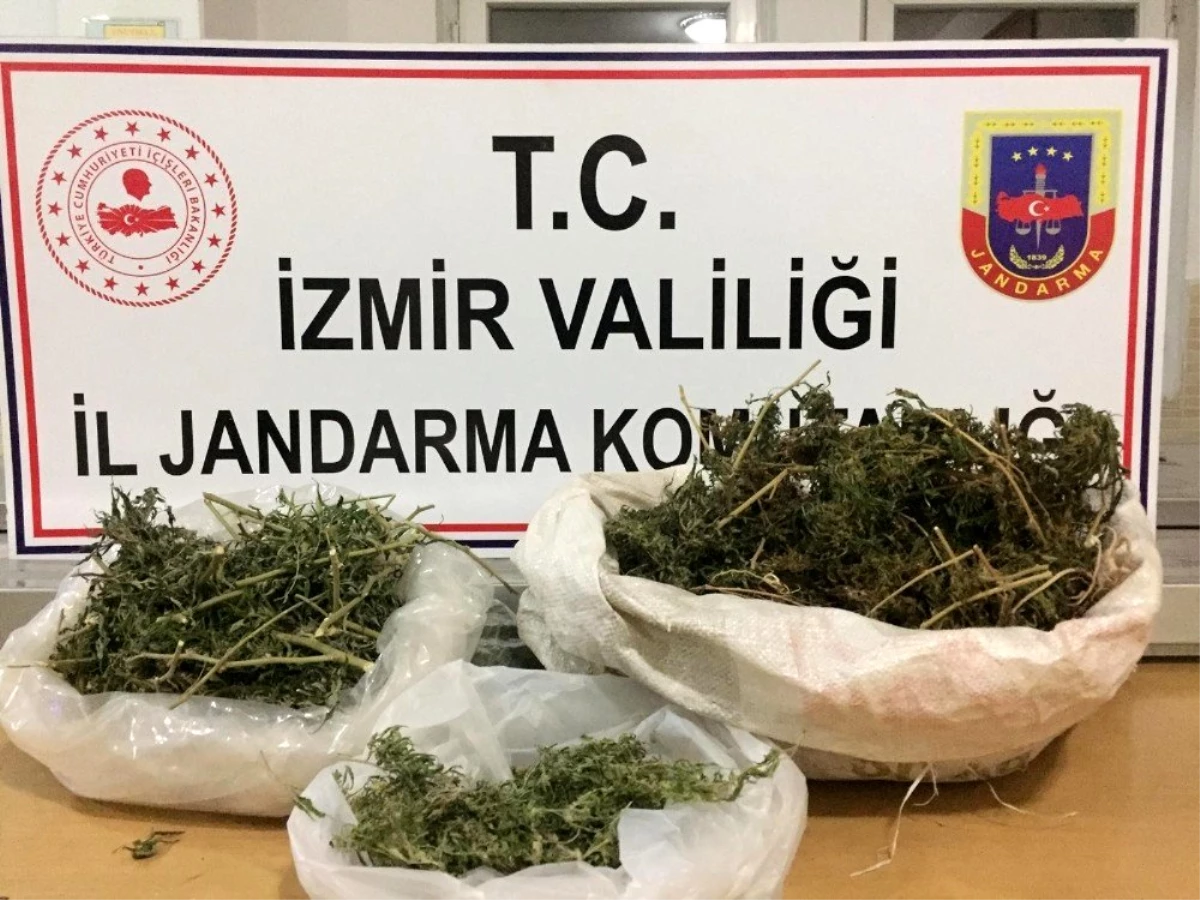 İzmir\'de jandarmadan sahte içki ve uyuşturucu operasyonu