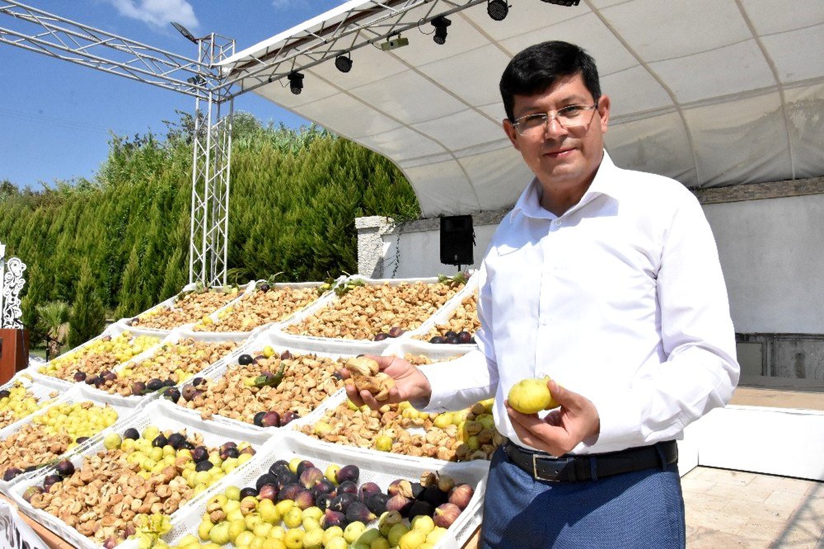 Nazilli\'den Barış Pınarı kahramanlarına İncir gönderilecek