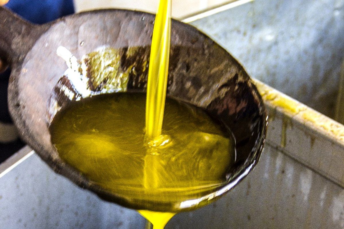 (Özel) İnternetten zeytinyağı alırken dikkat edin