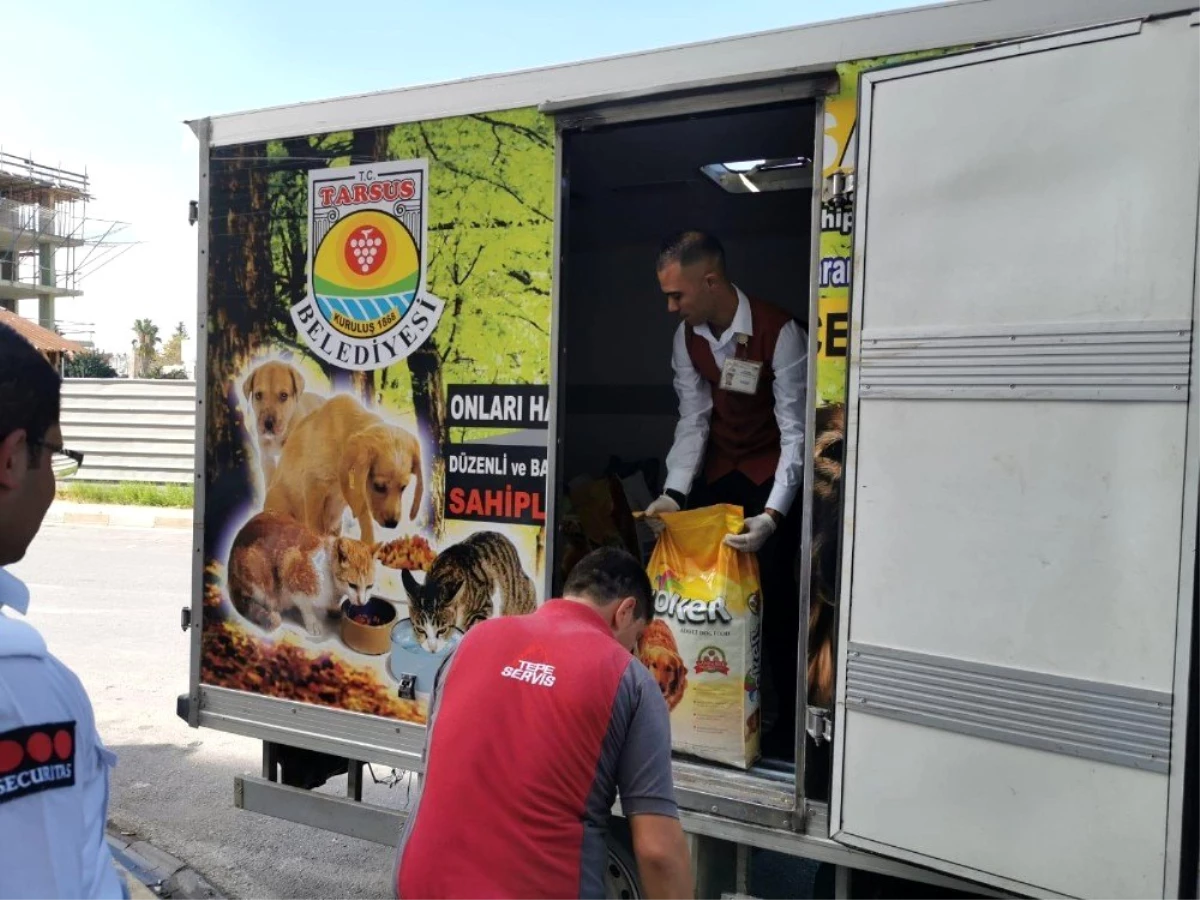 Tarsus\'ta sokak hayvanları için 500 kilo mama toplandı
