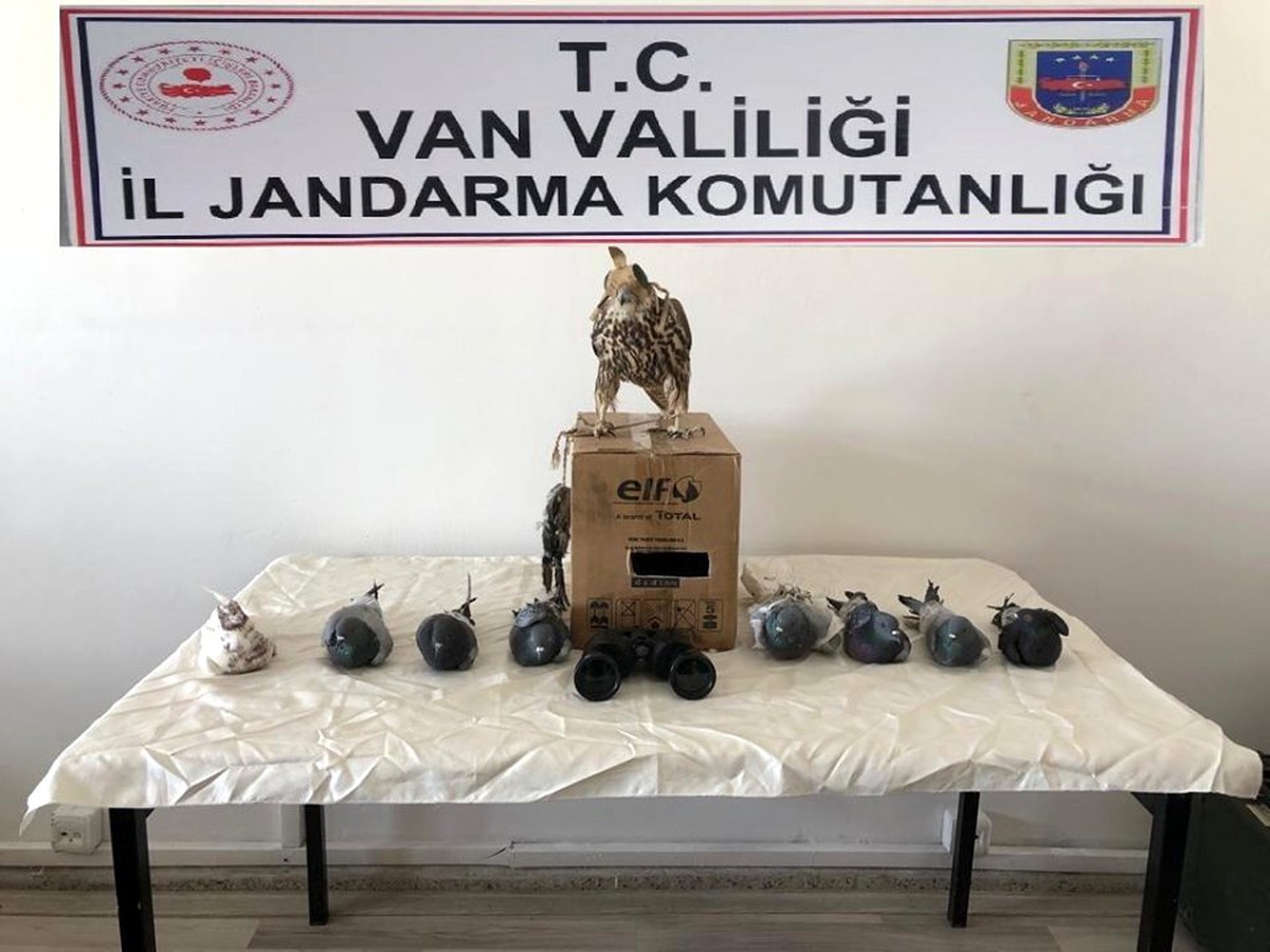 Yırtıcı kuş avı yapan şahsa 20 bin 387 liralık büyük ceza