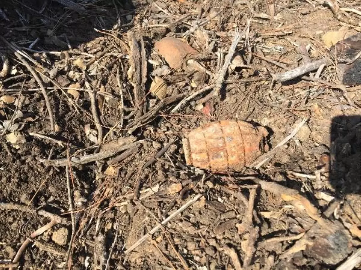 Çanakkale savaşları\'ndan kalma patlamamış el bombası imha edildi