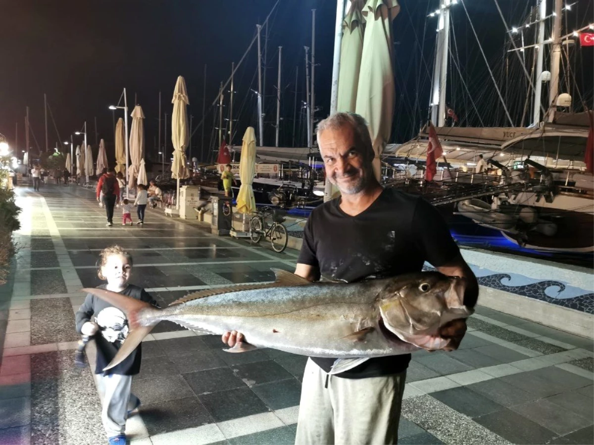 Marmaris\'te 30 kiloluk Akya balığı görenleri şaşırttı