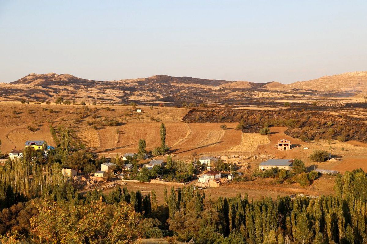 Sivas\'ta ot yangını
