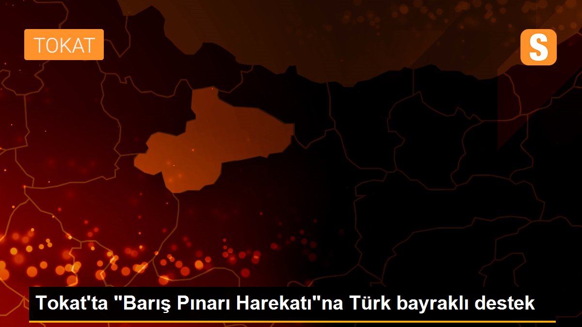 Tokat\'ta "Barış Pınarı Harekatı"na Türk bayraklı destek