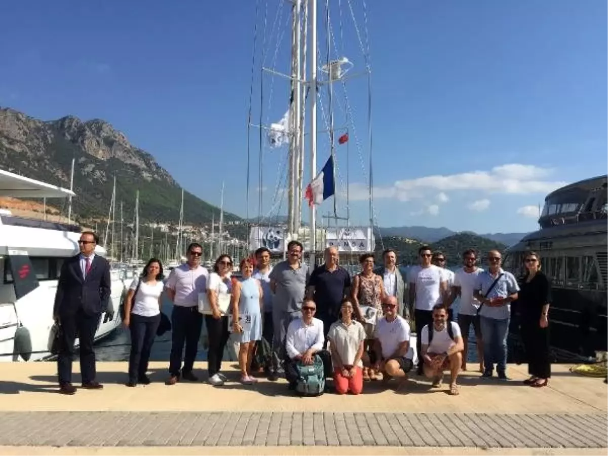 Wwf / kalem: deniz koruma alanları önemli bir çıkış yolu