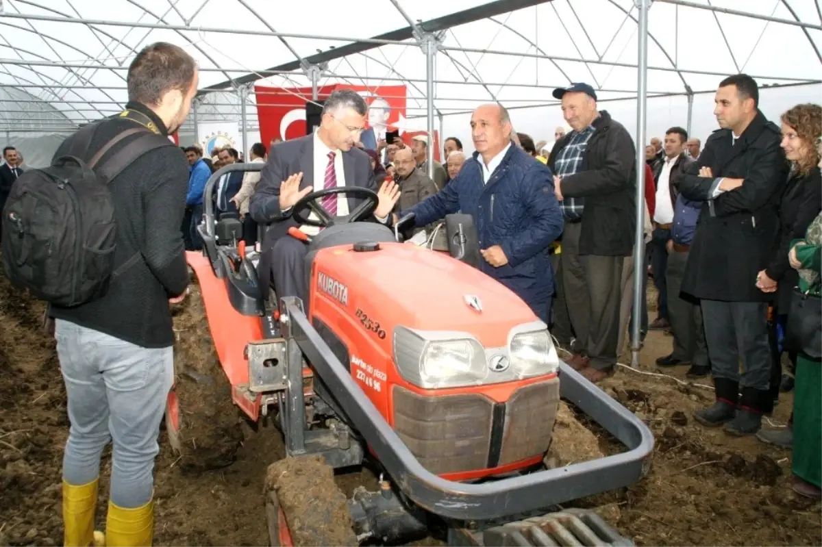 "Gelin Kardeş Olalım" projesi