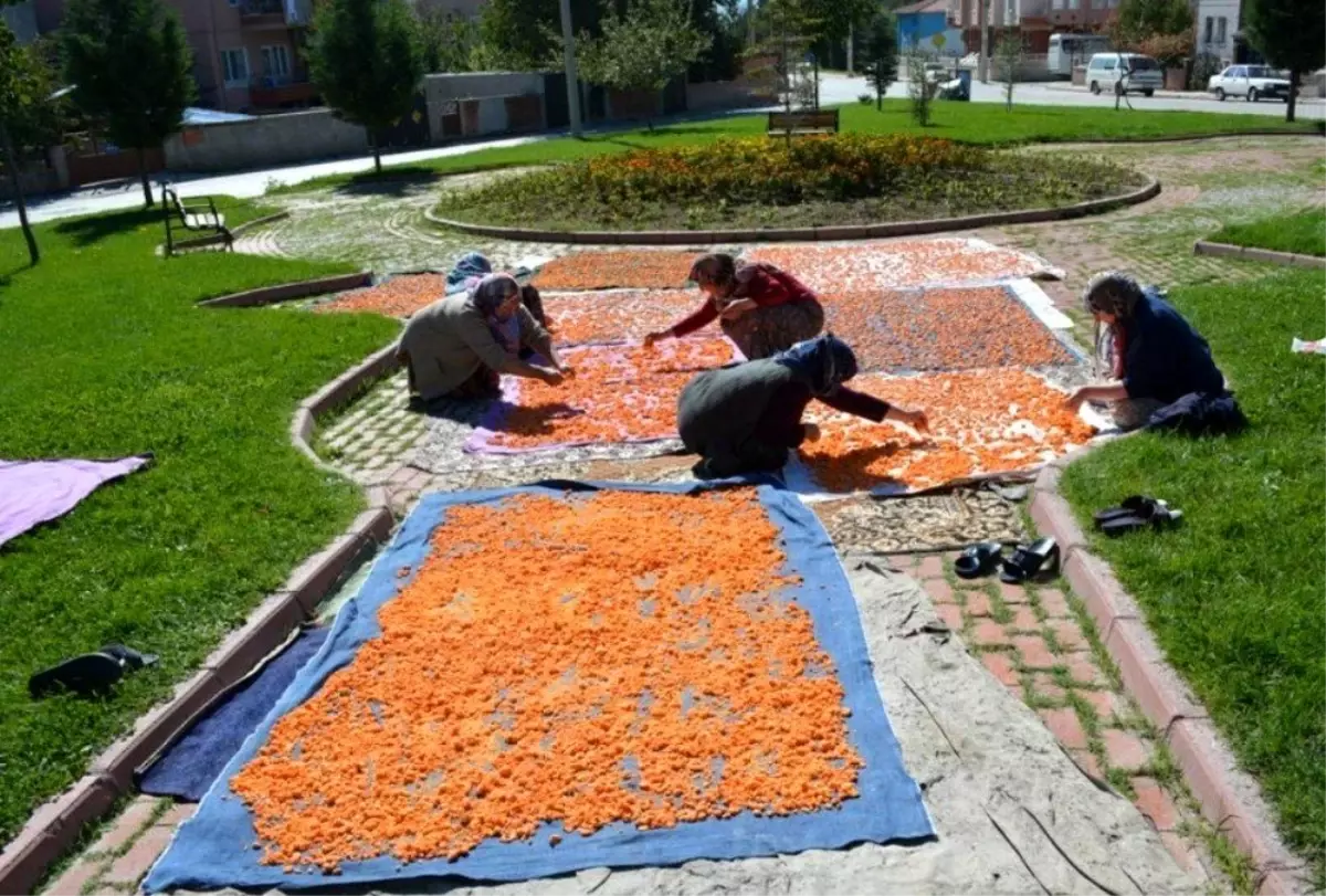 Şifa deposu asırlık lezzet "Tarhana" telaşı