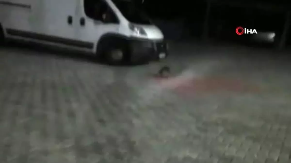 Tekirdağ\'da su maymunu gören vatandaş hem korktu hem şaşırdı