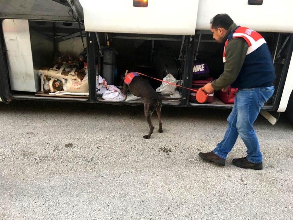Yolcunun üzerinde uyuşturucu ele geçirildi