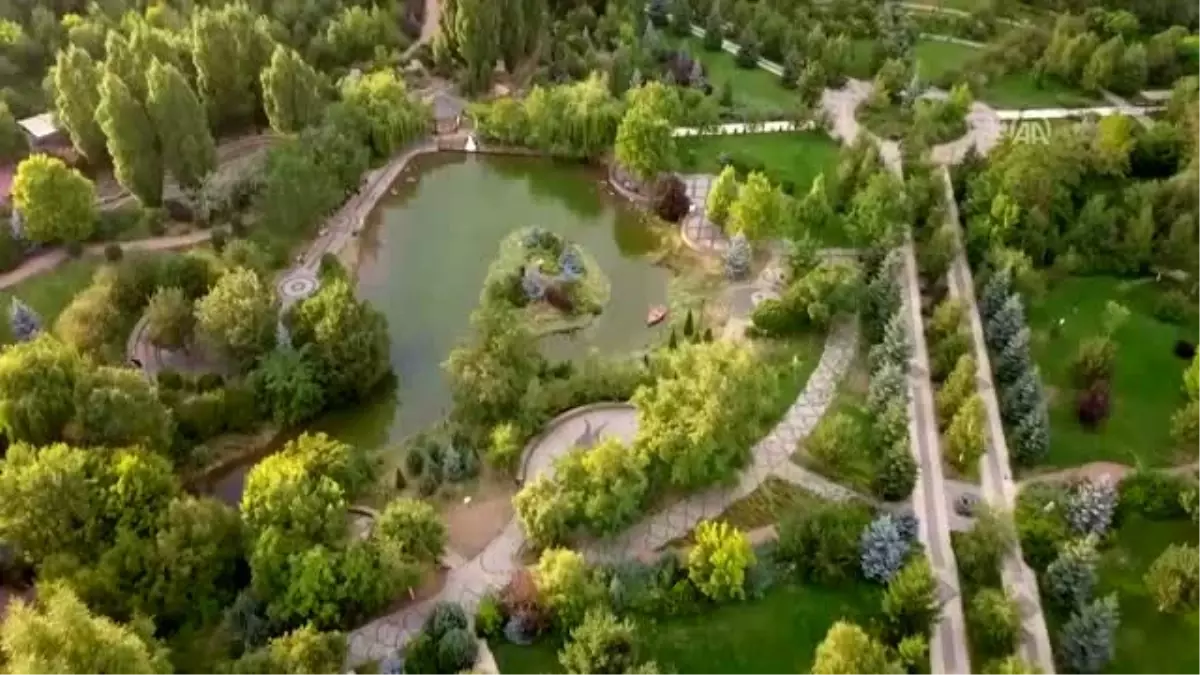 Botanik park evlenecek çiftlerin "fotoğraf stüdyosu" oldu