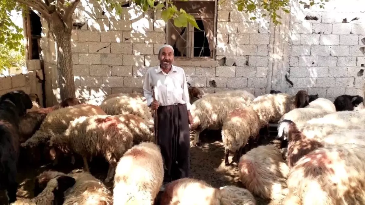 Adıyamanlı çobandan Cumhurbaşkanına çağrı