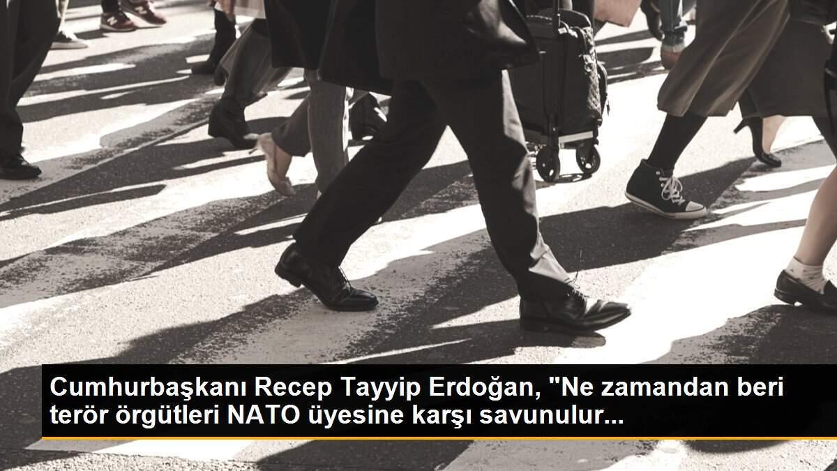 Cumhurbaşkanı Recep Tayyip Erdoğan, "Ne zamandan beri terör örgütleri NATO üyesine karşı savunulur...