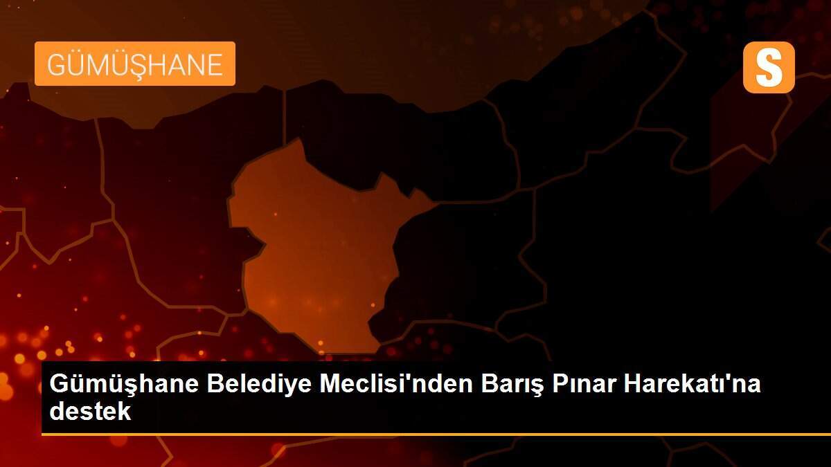 Gümüşhane Belediye Meclisi\'nden Barış Pınar Harekatı\'na destek