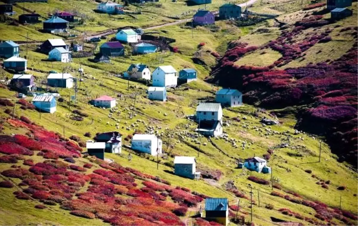 Karadeniz\'de sonbahar güzelliği