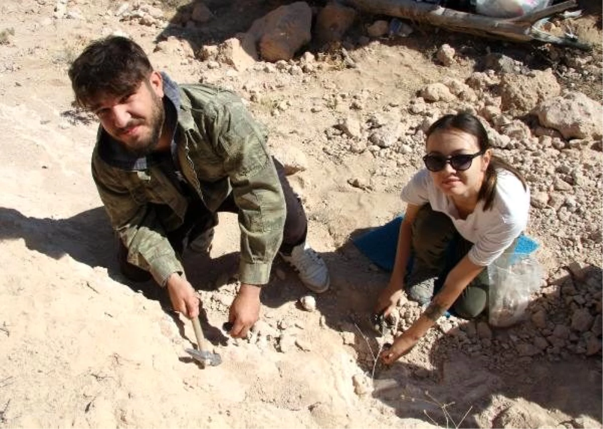 Kayseri\'de 8 milyon yıllık yeni fosiller bulundu