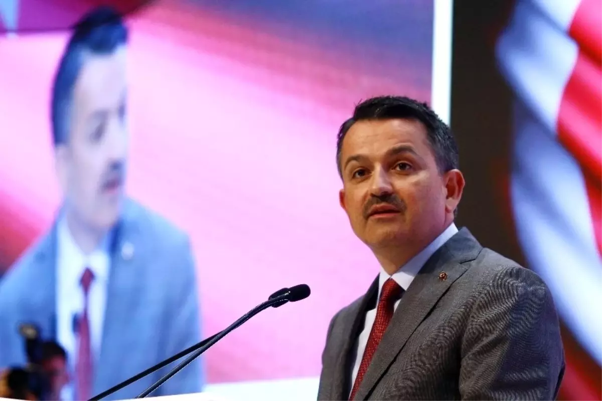 Meyve ve sebze sektörüne 640 milyon liralık yatırım