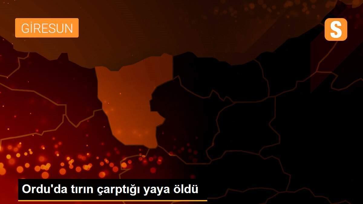 Ordu\'da tırın çarptığı yaya öldü