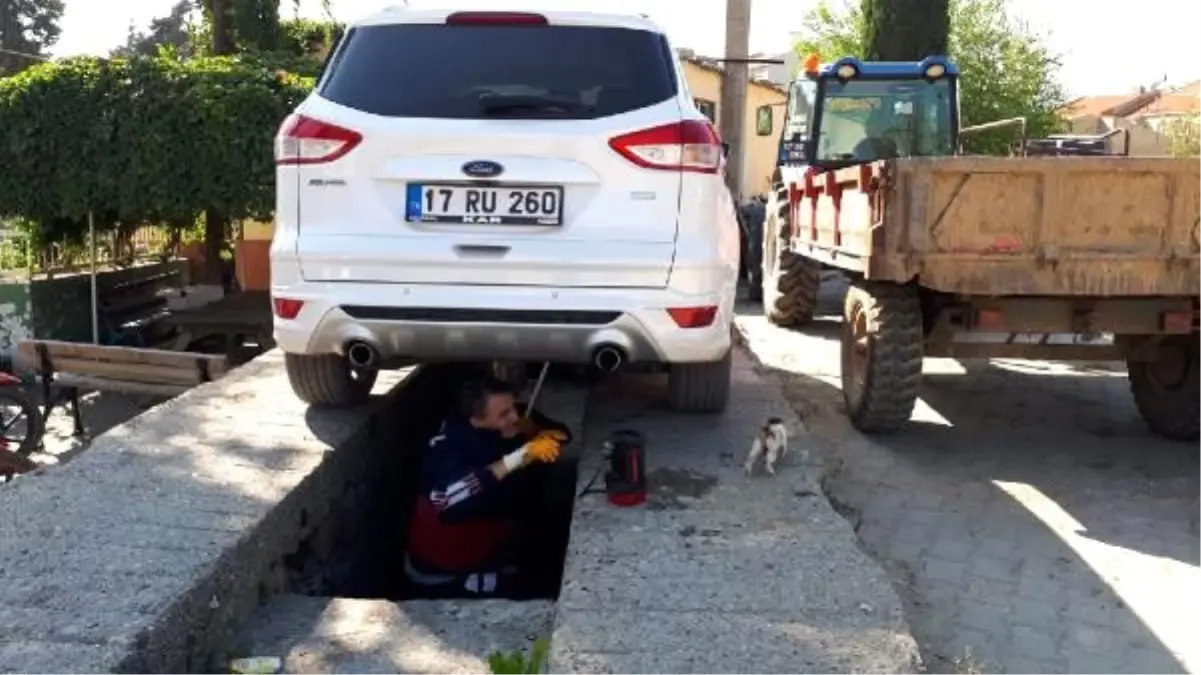 Otomobilin tekerlek boşluğa giren yavru kediyi itfaiye kurtardı