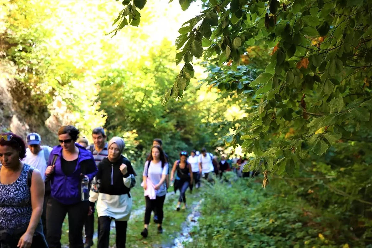 Sakarya\'da doğa yürüyüşleri sürüyor