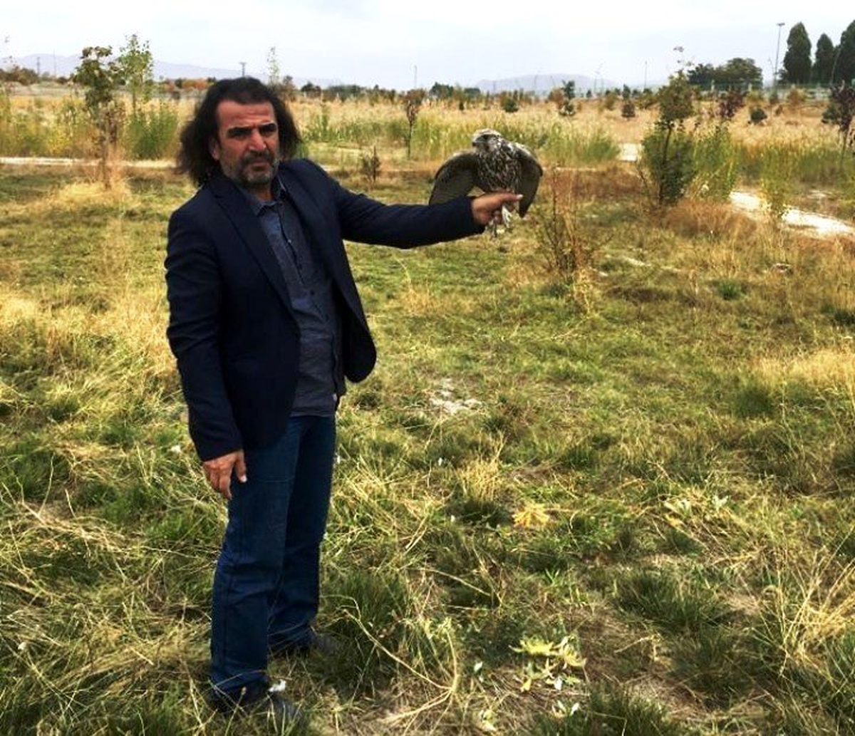 Tedavileri tamamlanan kuşlar yaşam alanlarına bırakıldı