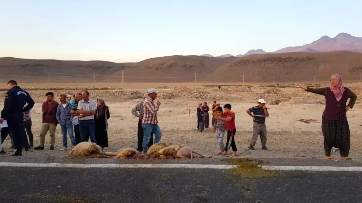 Tır sürünün arasına daldı, 18 hayvan telef oldu