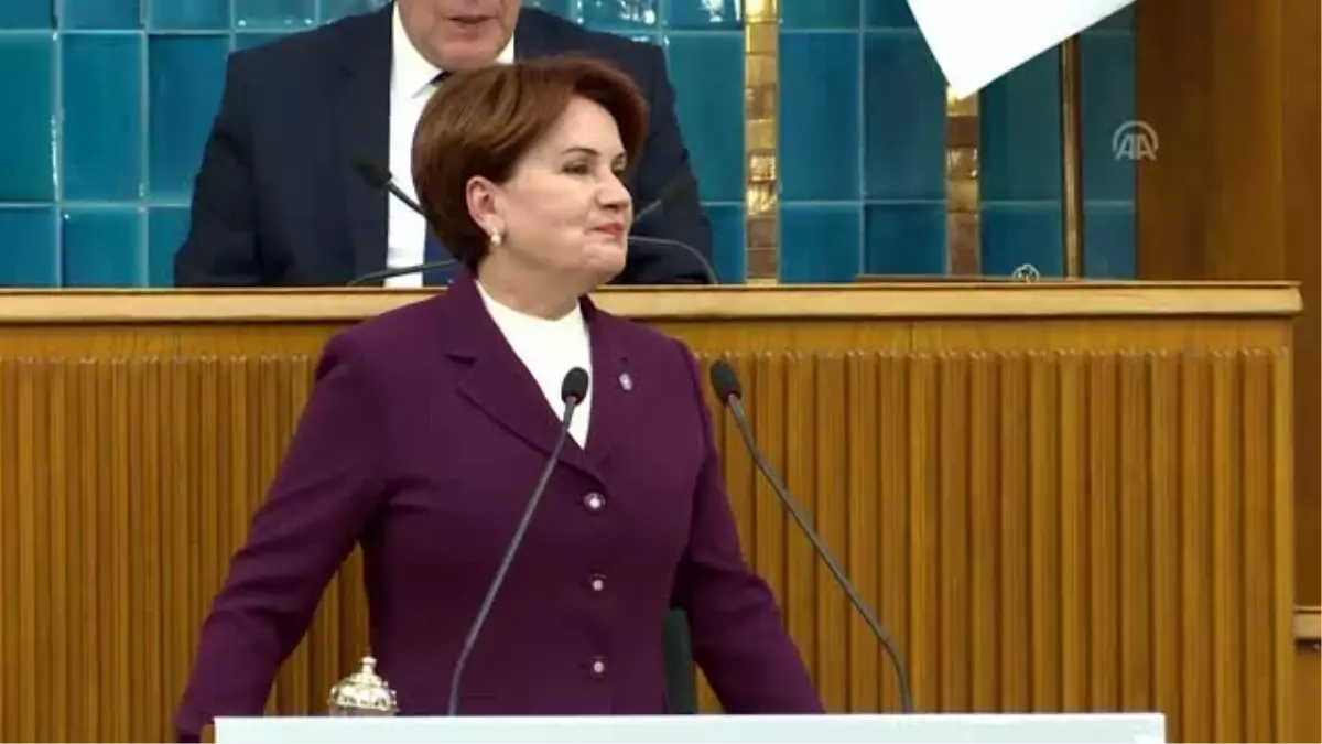 Akşener: "Türkiye ilk kez sınır ötesi operasyonu yapmıyor"