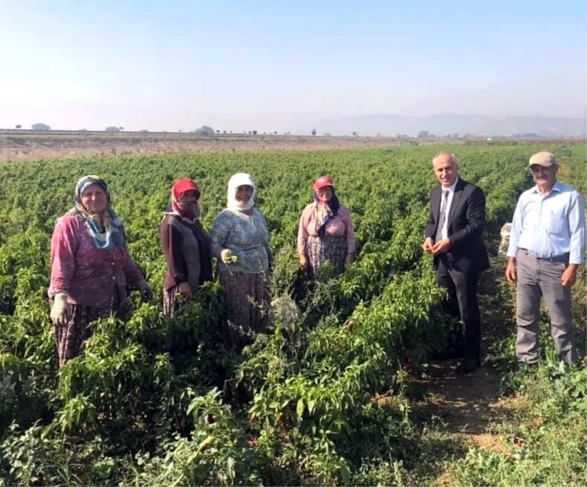 Başkan Aydın\'dan çiftçi kadınlara sürpriz ziyaret